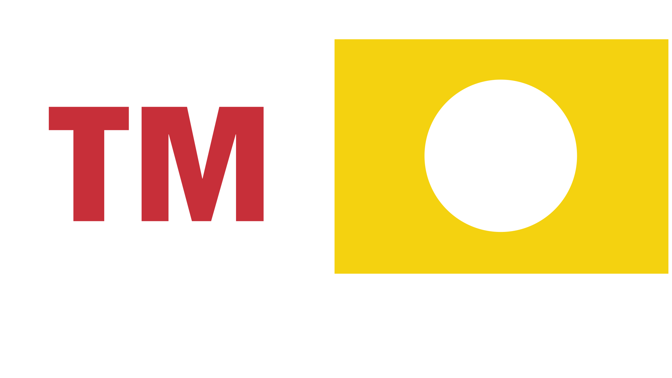 TM Real Estate Group logo